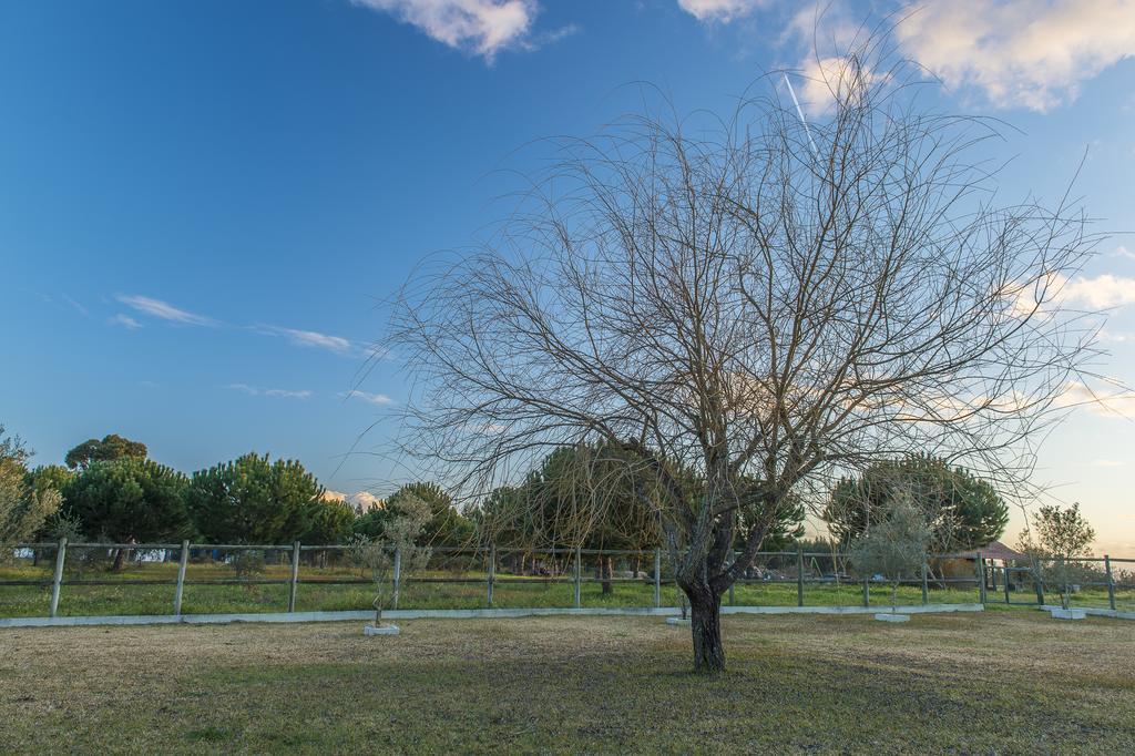 קורוצ'ה Monte Macario Alojamento Local מראה חיצוני תמונה
