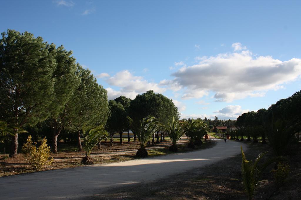 קורוצ'ה Monte Macario Alojamento Local מראה חיצוני תמונה