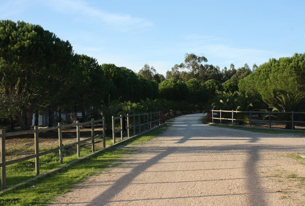 קורוצ'ה Monte Macario Alojamento Local מראה חיצוני תמונה